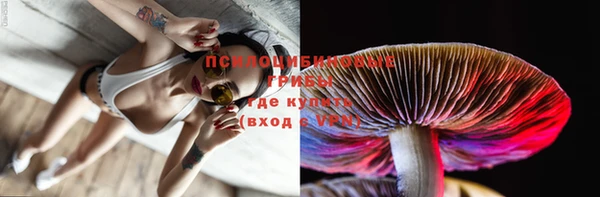 Альфа ПВП Медногорск